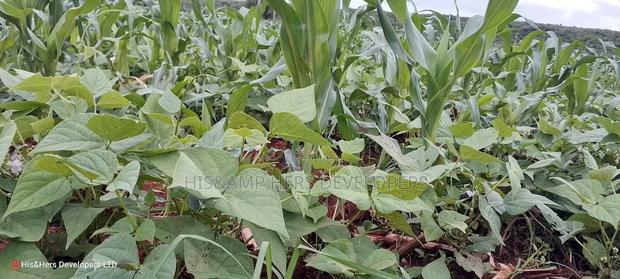 9acres for Sale in Nakuru, Subukia Mumoi Area at Per Acre