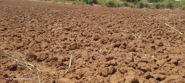 Quick Sale, 4 Acres in Subukia Near a River at 1.5m Per Acre