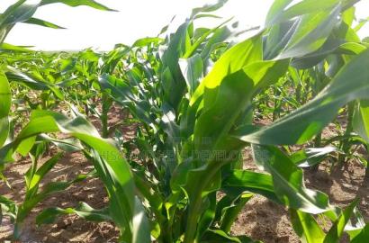 95acres in Narok Mulot Ready Title Deed at 700,000
