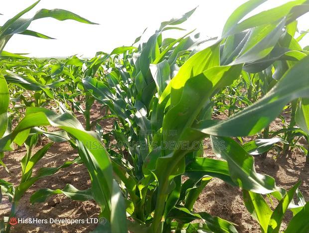 95acres in Narok Mulot Ready Title Deed at 700,000