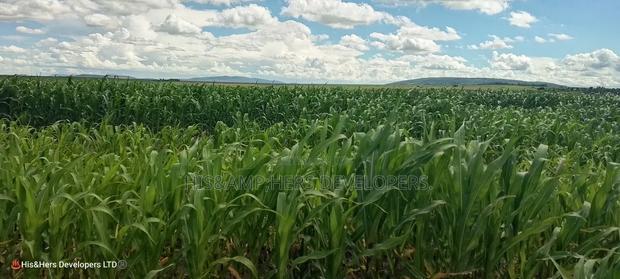 240acres in Narok With Clean Tittle Deed at 650,000 Per Acre
