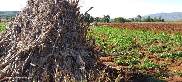 11 Acres at 1.3M Per Has Title Deed in Lower Subukia Limuru.