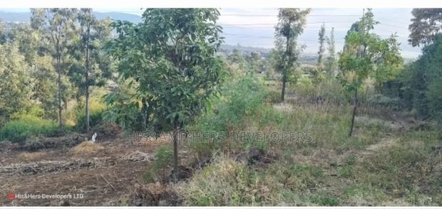 Quick Sale !! 1/2 Acre in Milimani Nakuru