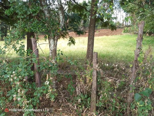 9 Acres Virgin Land, Subukia for Avocado Farming With Title