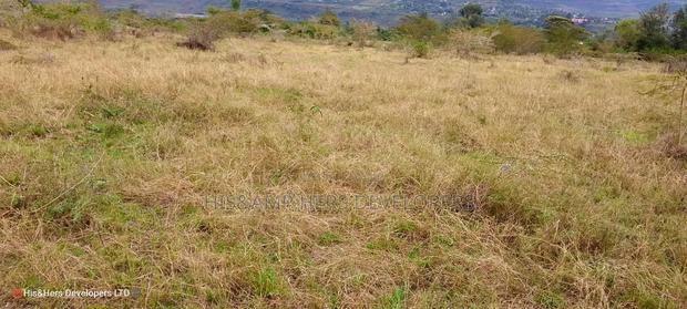 50*100 Plot in Heshima Scode Area 700m From Tarmac