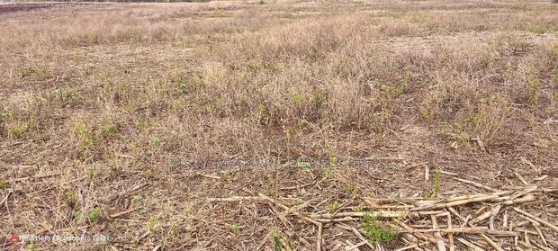 1.6 Acre in Ampiva at 4.2m Ready Title Deed.