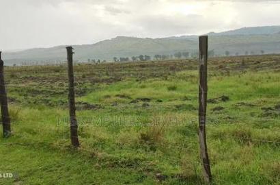 13 Acres on Sale, Ideal for Gated Community With Title Deed