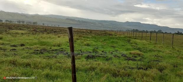 13 Acres on Sale, Ideal for Gated Community With Title Deed