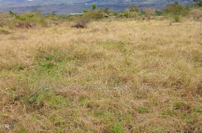 50*100 Plot in Heshima Scode Area 700m From Tarmac
