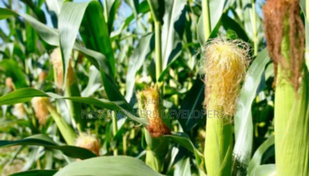 QUICK SALE: 10acres In Marana Subukia At Per Acre