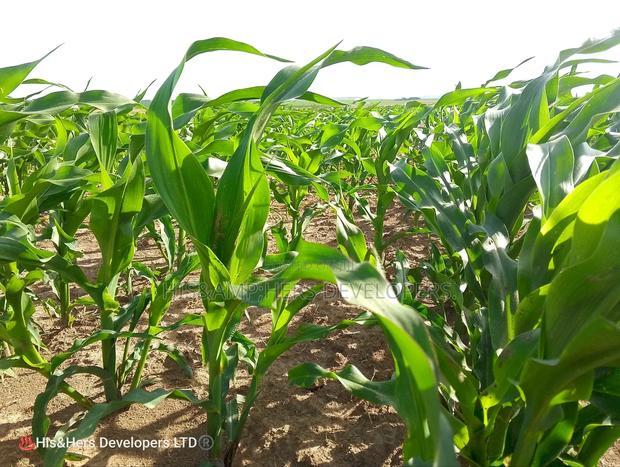 95acres in Narok Mulot Ready Title Deed at 700,000