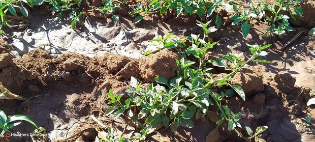 11 Acres at 1.3M Per Has Title Deed in Lower Subukia Limuru.