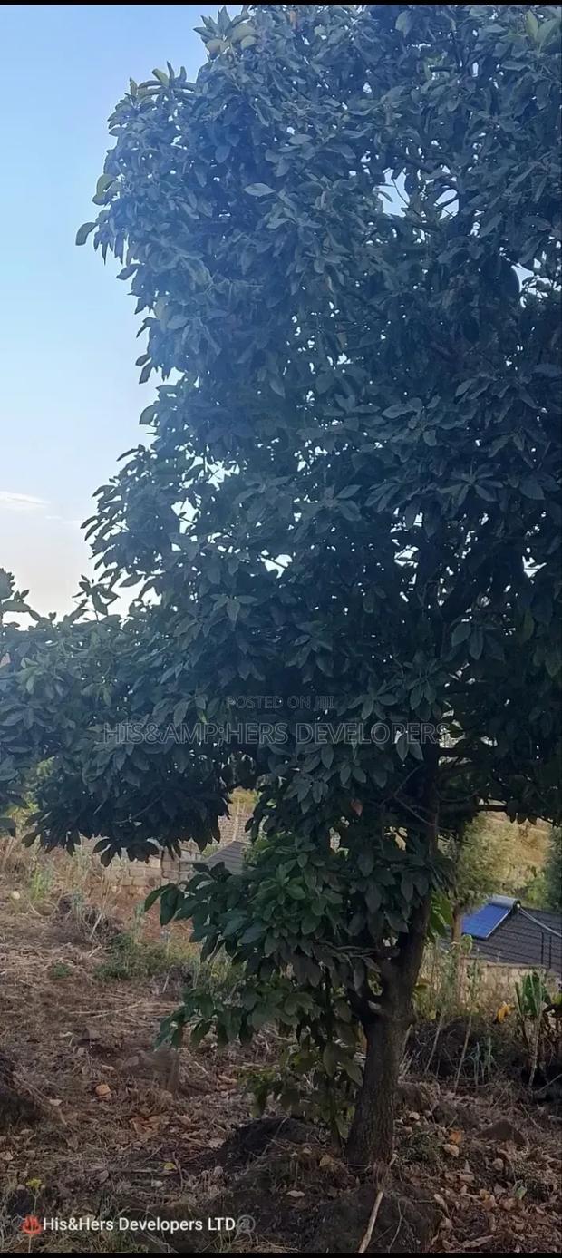 Quick Sale !! 1/2 Acre in Milimani Nakuru