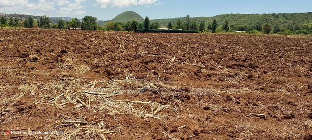 Quick Sale of 3acres in Subukia Lari at Per Acre.