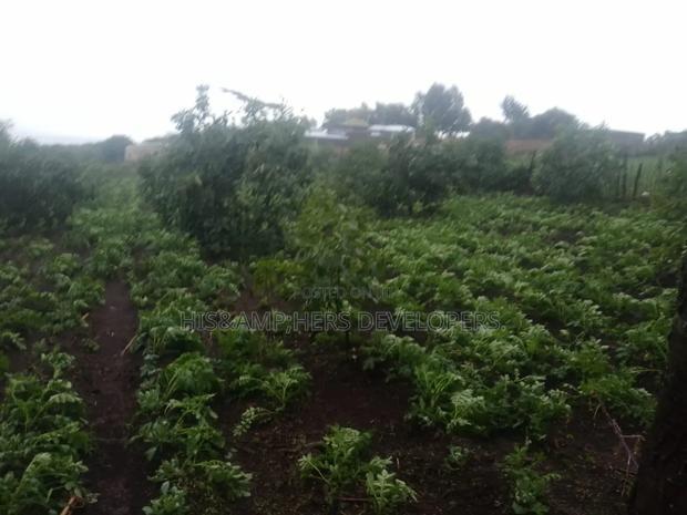Virgin Fenced 10 Acres in Bahati Ideal 4 Avocado Farming