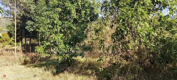 1/4 Acre in Subukia at 2M With Title Deed