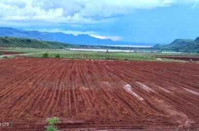 Quick Sale!! 4acres Near a Flower Farm With Ready Title Deed