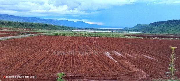 Quick Sale!! 4acres Near a Flower Farm With Ready Title Deed