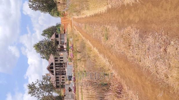 Utilivu Park Ruiru