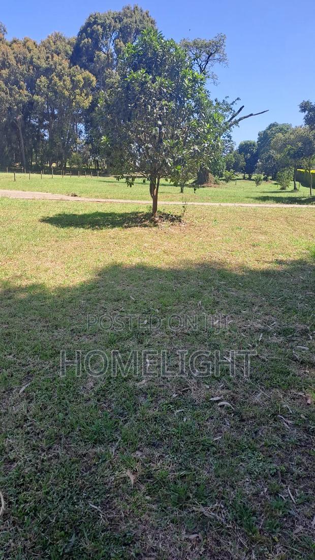 A Fully Serviced 1 Acre Land for Sale in Karen
