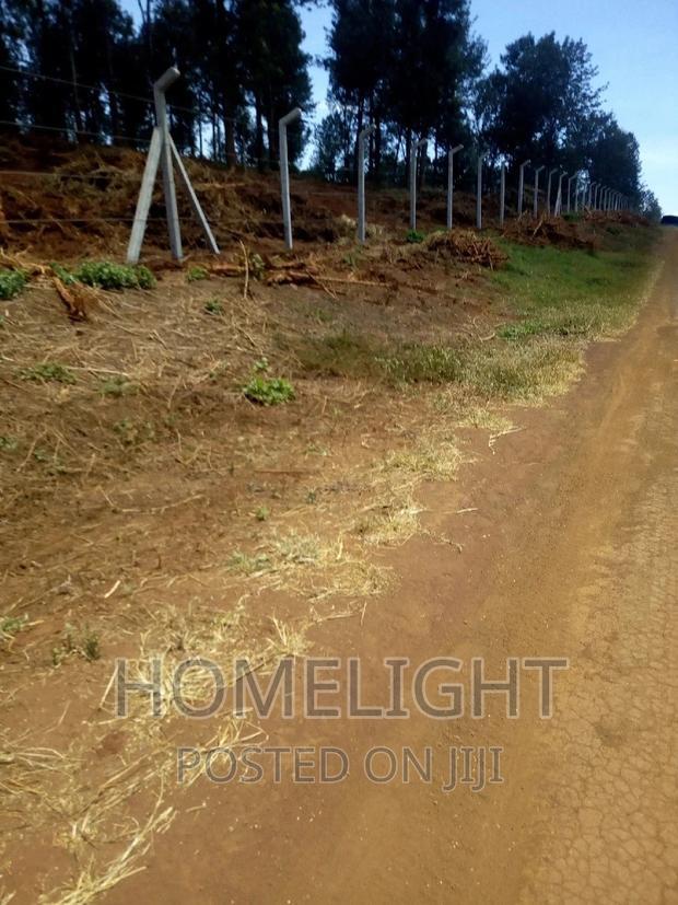 A 50*100 Plots for Sale in Pazuri Park Oakland