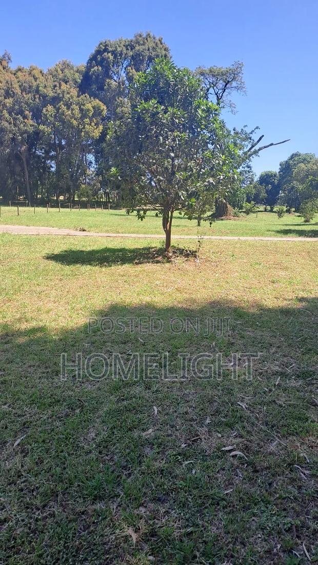 A Fully Serviced 1 Acre Land for Sale in Karen