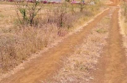 Utilivu Park Ruiru