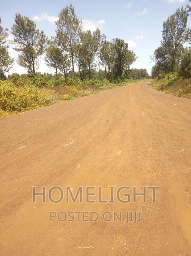 A 50*100 Plots for Sale in Pazuri Park Oakland