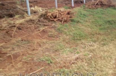 A 50*100 Plots for Sale in Pazuri Park Oakland