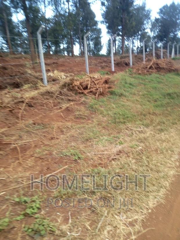 A 50*100 Plots for Sale in Pazuri Park Oakland