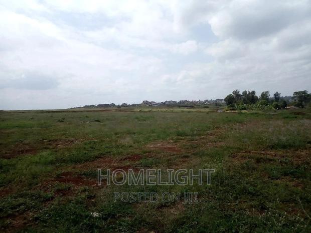 A 50*100 Plots for Sale in Pazuri Park Oakland