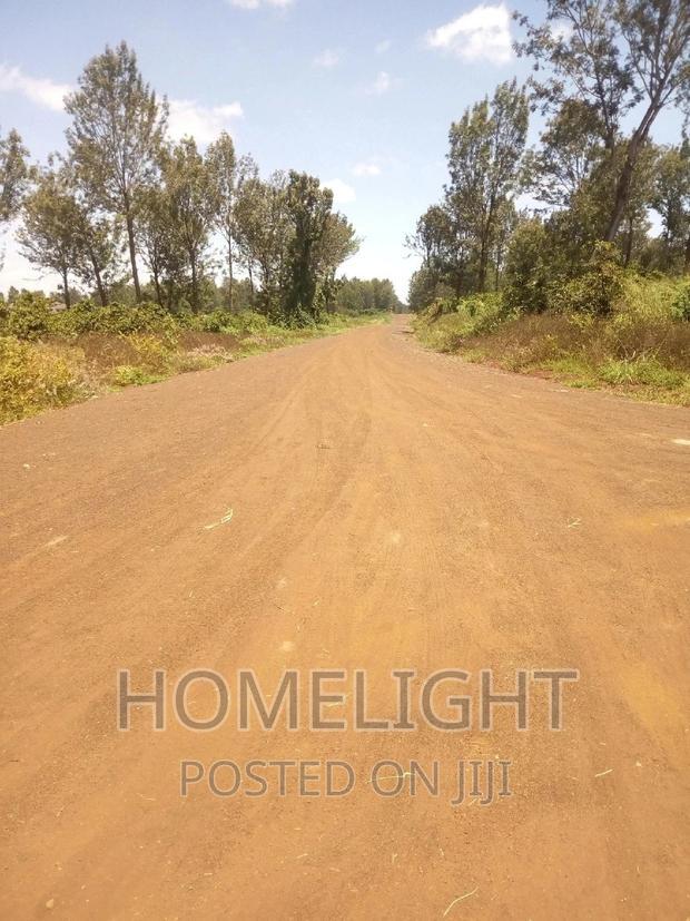 A 50*100 Plots for Sale in Pazuri Park Oakland