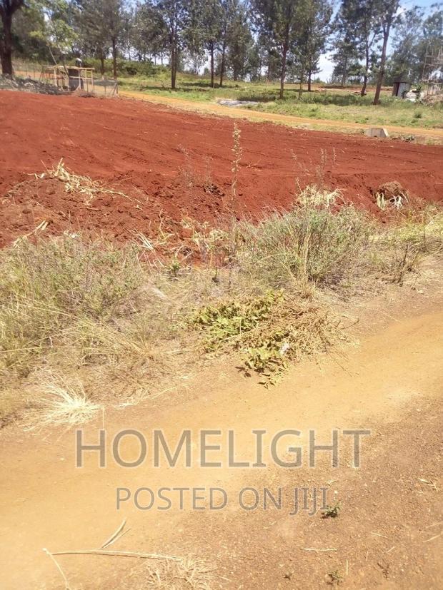 A 50*100 Plots for Sale in Pazuri Park Oakland