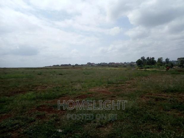 A 50*100 Plots for Sale in Pazuri Park Oakland