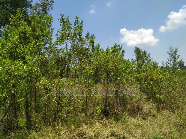 Residential Eighth Acre Plot in Kerarapon, Ngong. Red Soil
