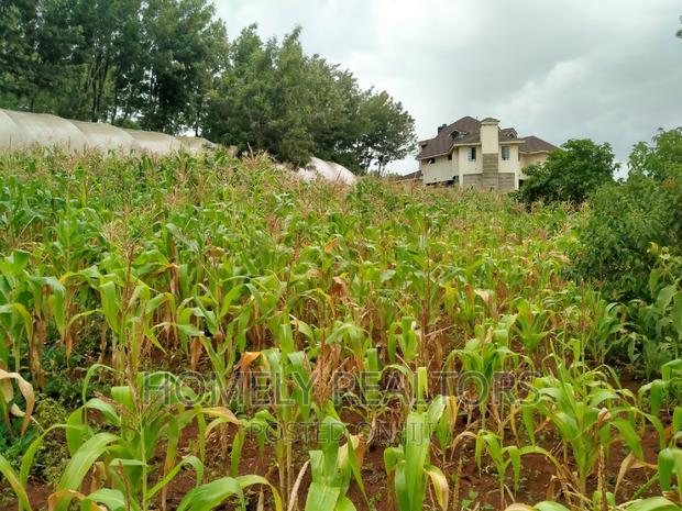 Half-Acre Plot in Ngong, Along Lemiso Rd Touching Tarmac
