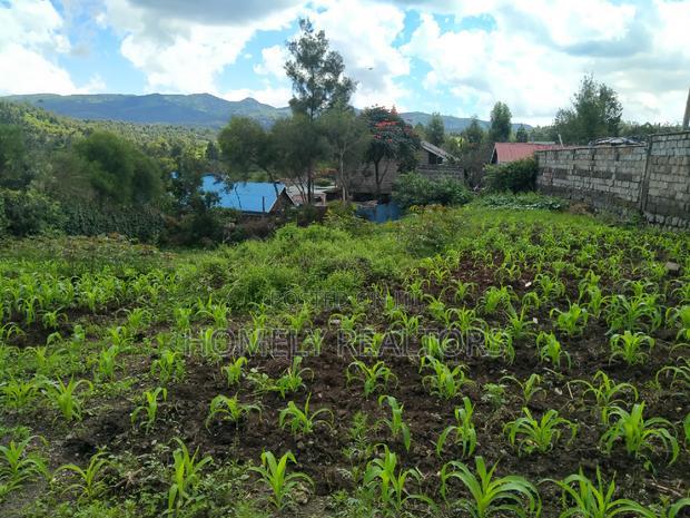 Quarter Acre Plot in Ongata Rongai Nkoroi Has Perimeter Wall