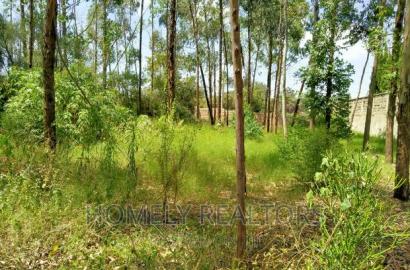 Half Acre Plot in Ongata Rongai, Rimpa Tarmac With Perimeter