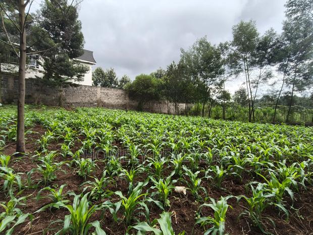 Strictly Residential Eighth Acre Plot in Kerarapon, Ngong