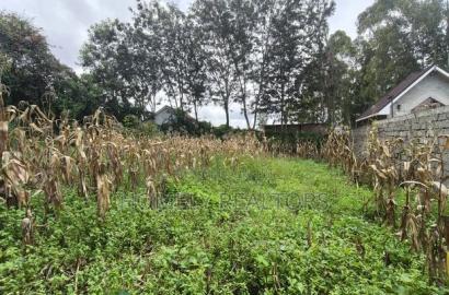 Gated Residential Eighth Acre Corner Plot in Kerarapon Ngong
