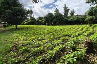 Quarter Acreplot in Kerarapon Drive, Ngong. Fertile Red Soil