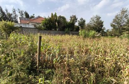 Residential Eighth Acre Plot on Sale in Ngong, Matasia Near Tarmac