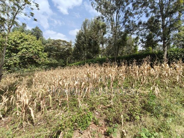 Residential Eighth Acre Plot in Ngong, Memusi. Red Soil Near Iat SCH