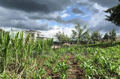 Residential Quarter Acre Plot in Ngong, Matasia Near Silanga