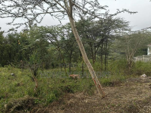 Eighth Acre Plot in Rimpa, Ongata Rongai, Kandisi Area