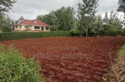 Residential Quarter Acre Plot in Kerarapon. Red Soil