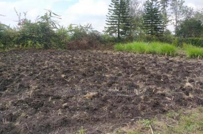 Residential Eighth Acre Plot in Ngong in Olkeri Near Tarmac