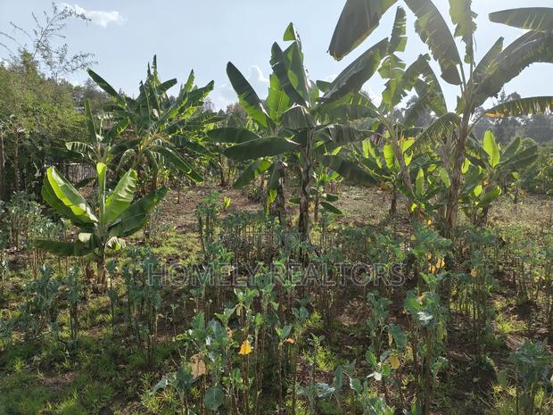 Residential Quarter Acre Plot in Kerarapon Drive, Ngong. Red Soil.