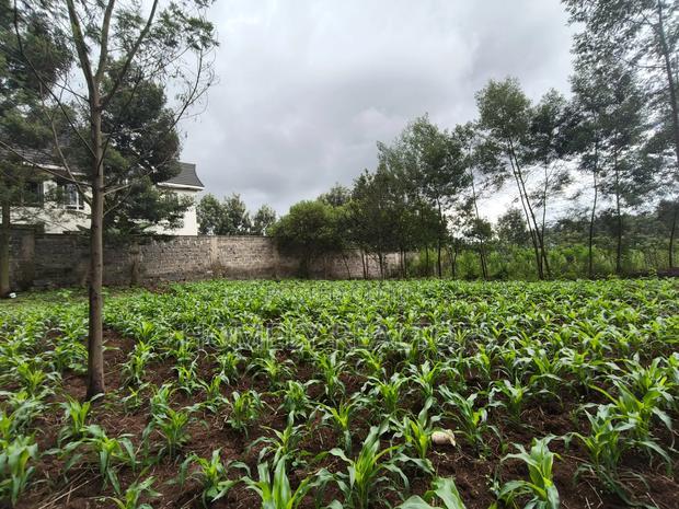 Strictly Residential Eighth Acre Plot in Kerarapon, Ngong