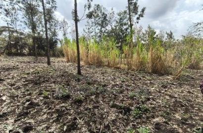 Quarter Acre Plot for Sale in Ngong, Matasia Merisho Naer Tarmac